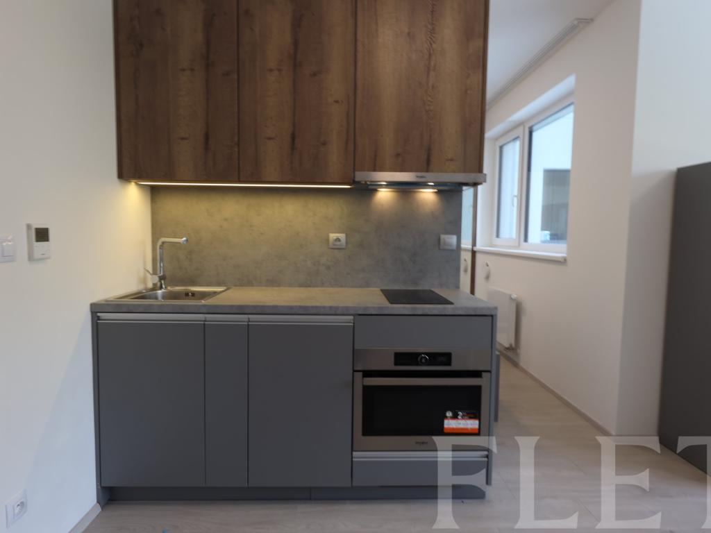Pronájem bytu 1+kk 38 m2