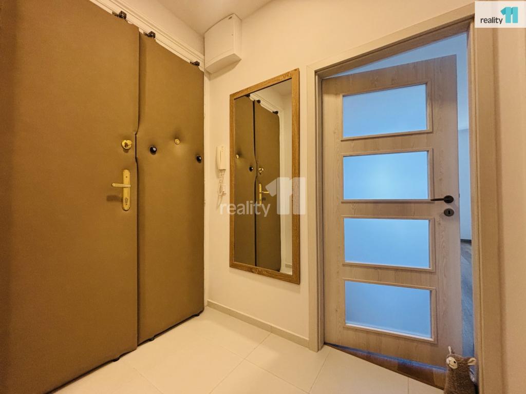 Pronájem bytu 1+1 37 m2