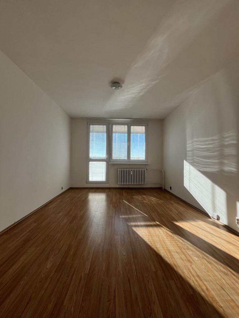 Pronájem bytu 1+1 41 m² - Widok 6