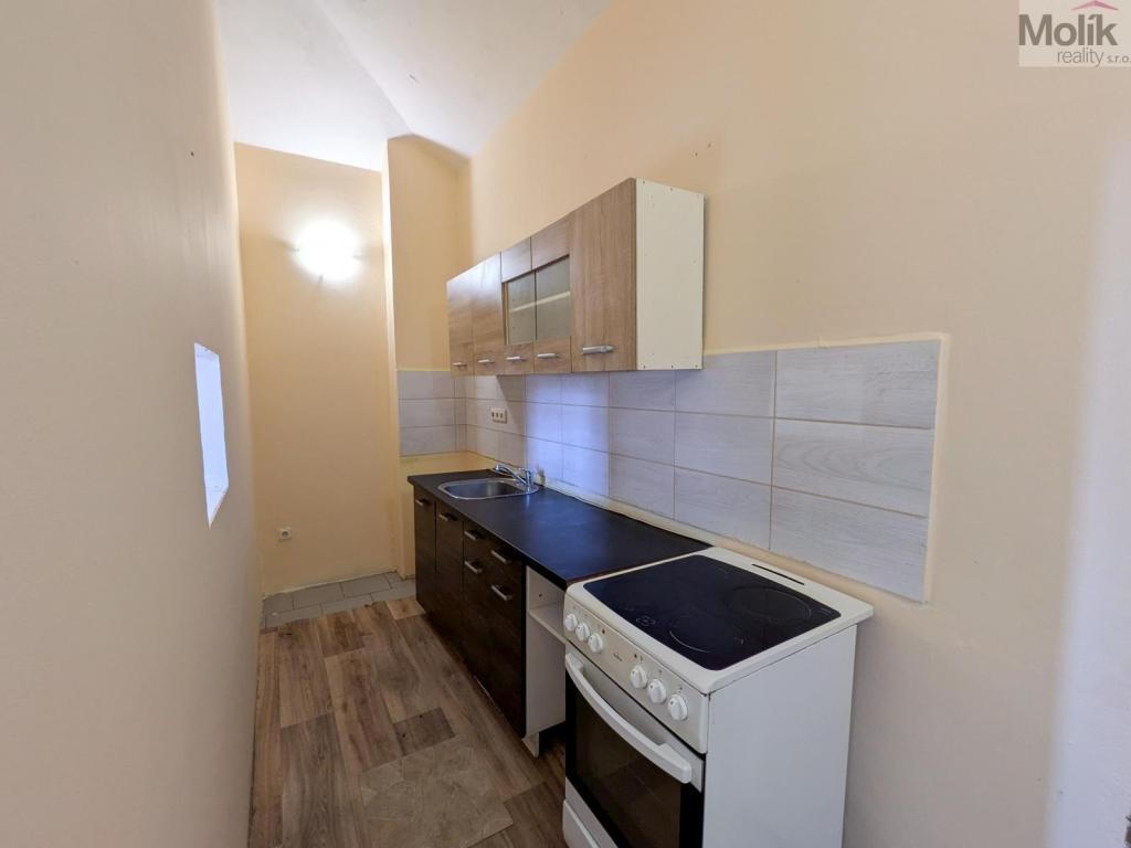 Pronájem bytu 1+1 42 m2