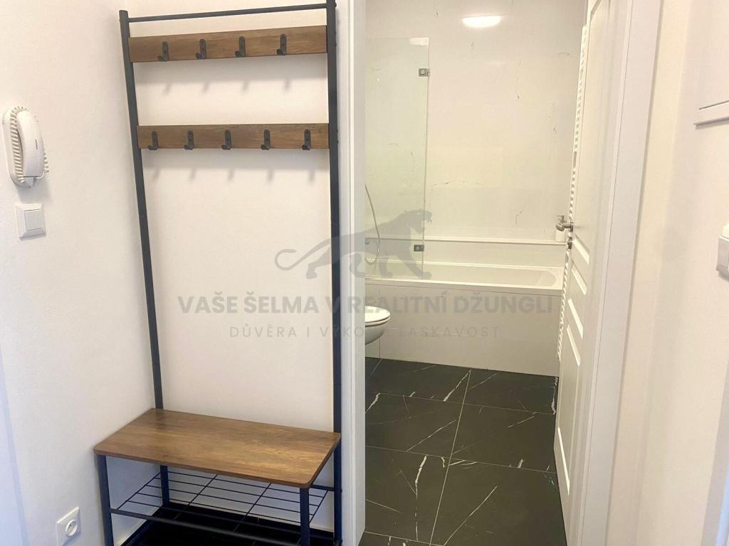 Pronájem bytu 1+kk 25 m2