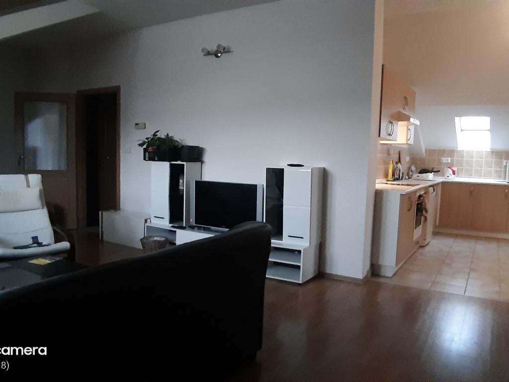 Spolubydleni bytu celý pokoj 100 m2