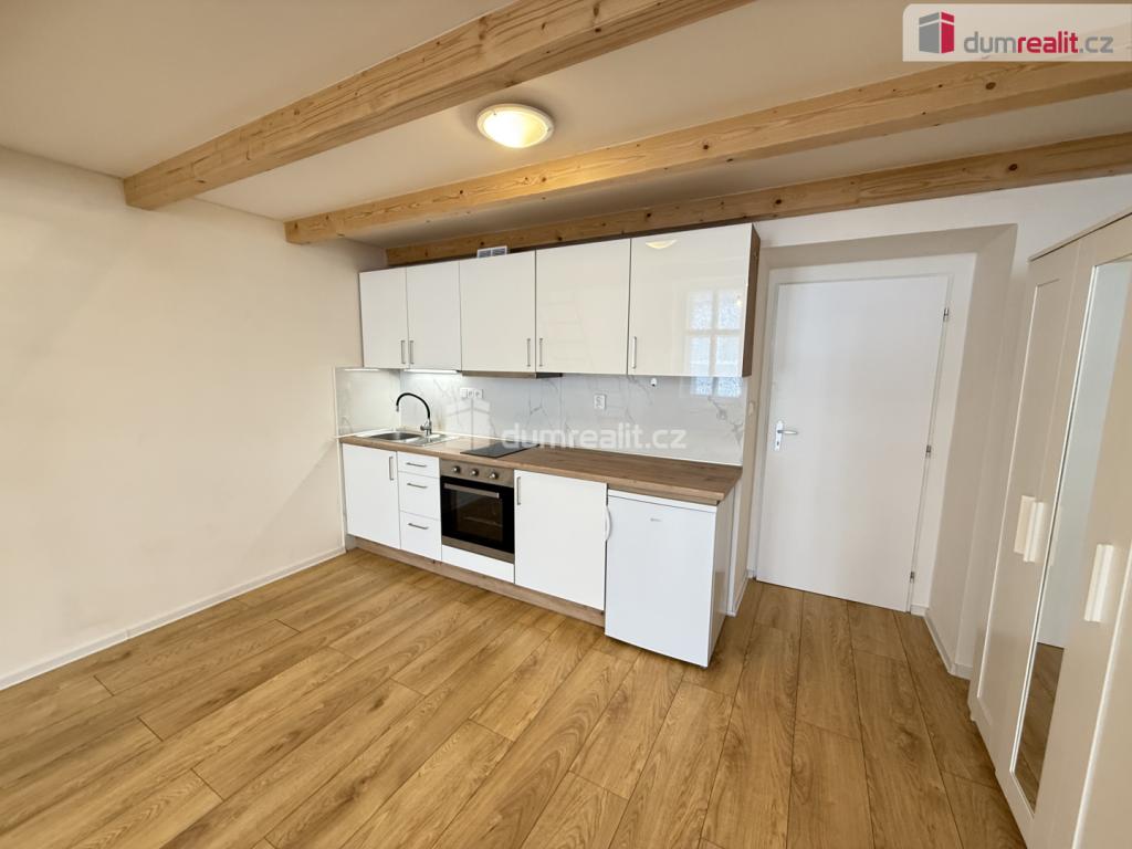 Pronájem bytu 1+kk 48 m2