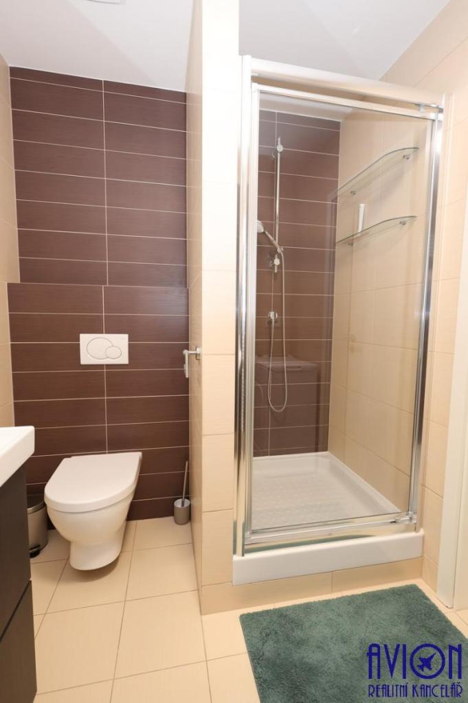 Pronájem bytu 2+kk 50 m2, Praha – náhled fotky 15