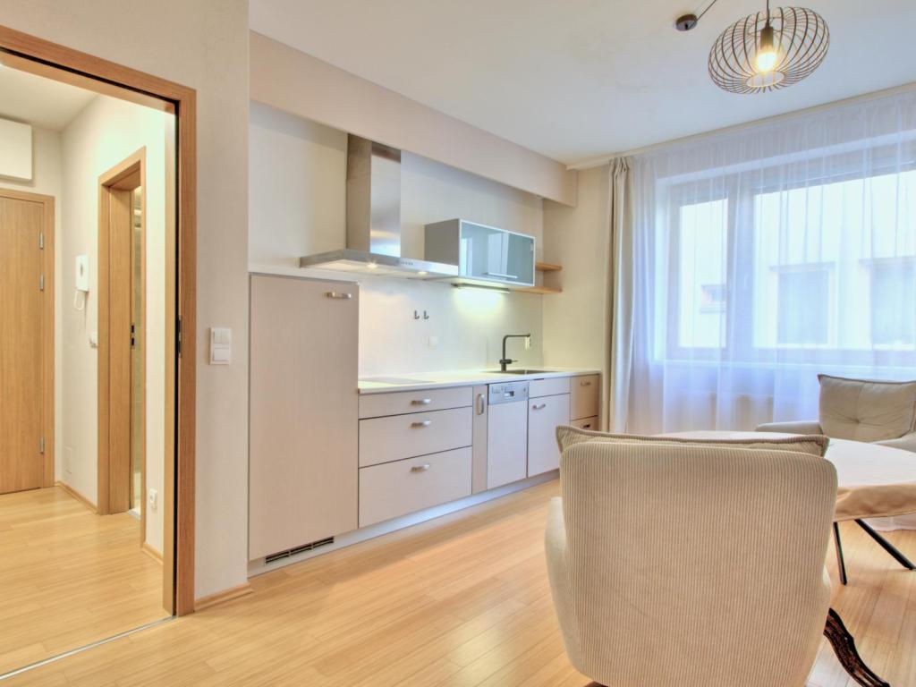 Pronájem bytu 1+kk 43 m2