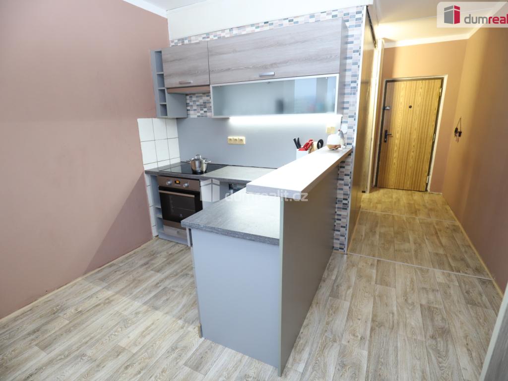 Pronájem bytu 1+1 41 m2