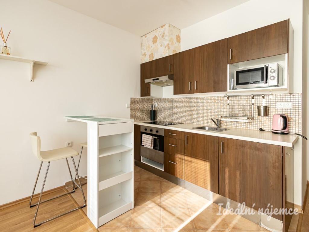 Pronájem bytu 1+kk 35 m2