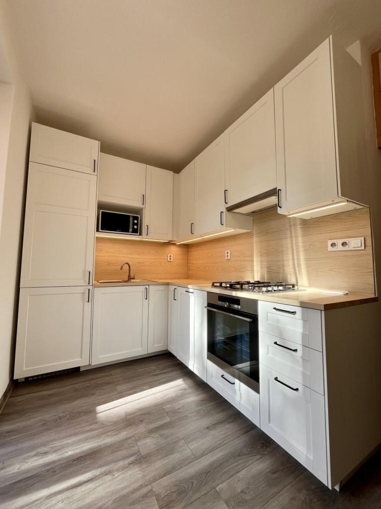 Pronájem bytu 2+1 55 m2