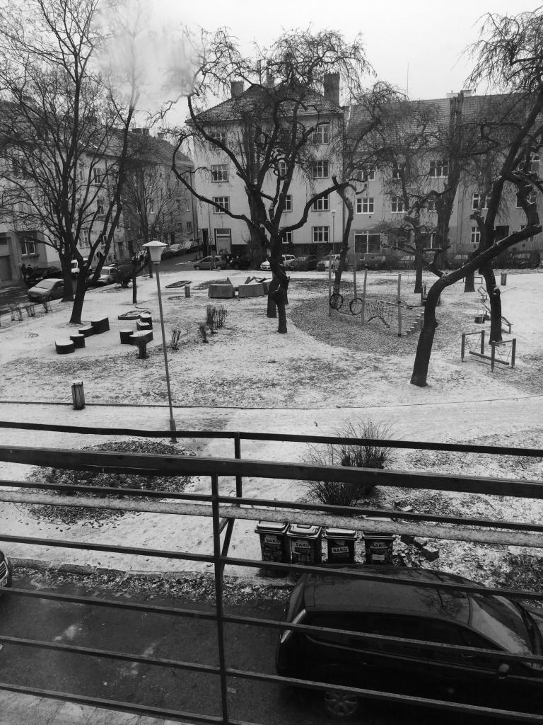 Spolubydleni bytu 1 lůžko 20 m2