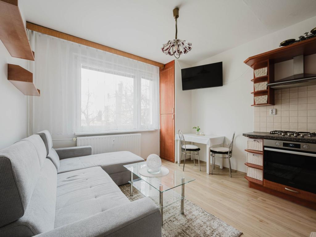 Pronájem bytu 1+1 40 m2