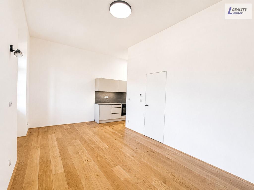 Pronájem bytu 1+kk 38 m2