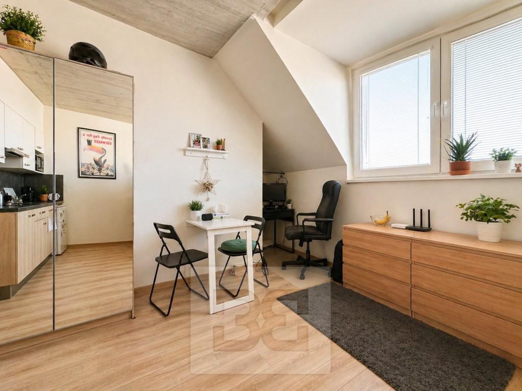 Pronájem bytu 1+kk 38 m2