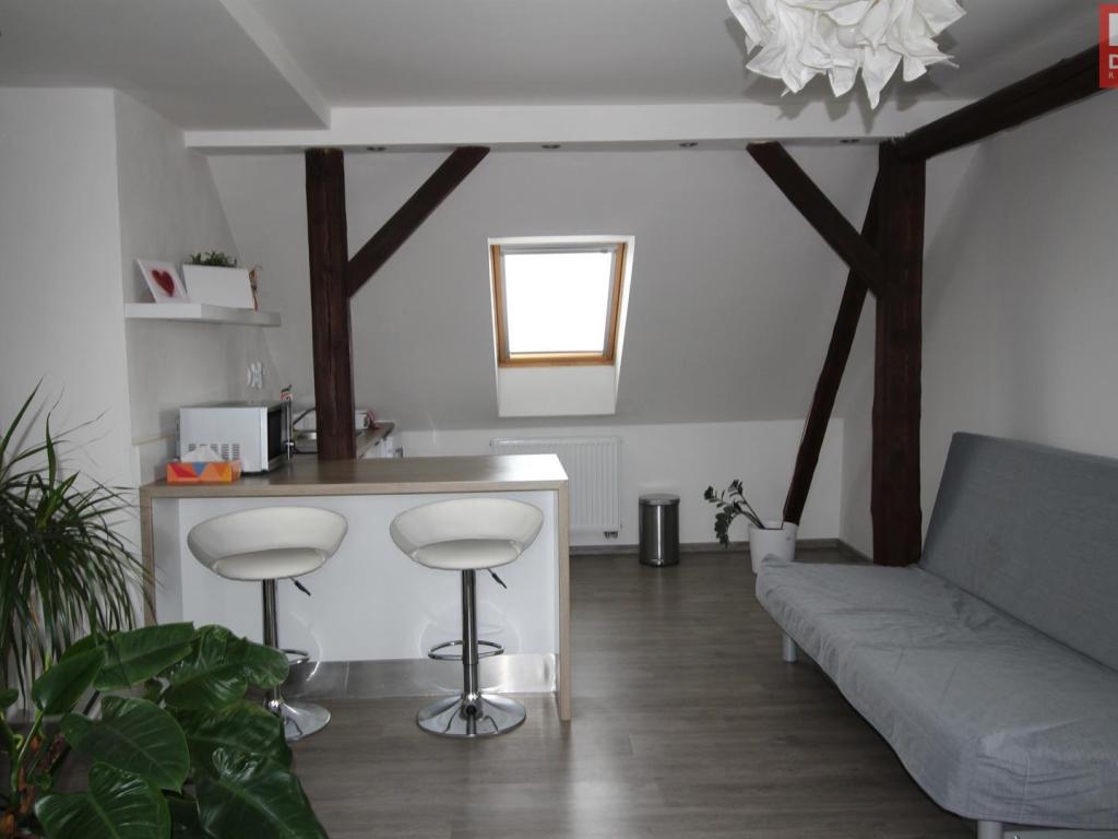 1-room apartment for rent · 45 m² · Olomouc — 497 €/mo