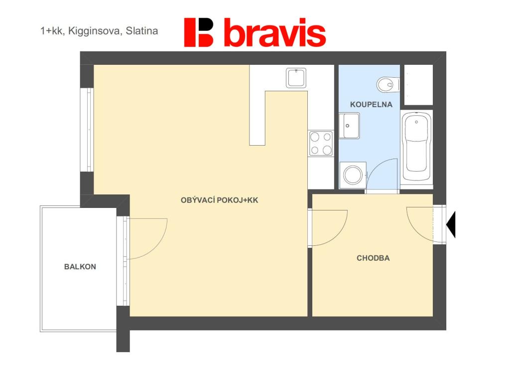 Pronájem bytu 1+kk 46 m2
