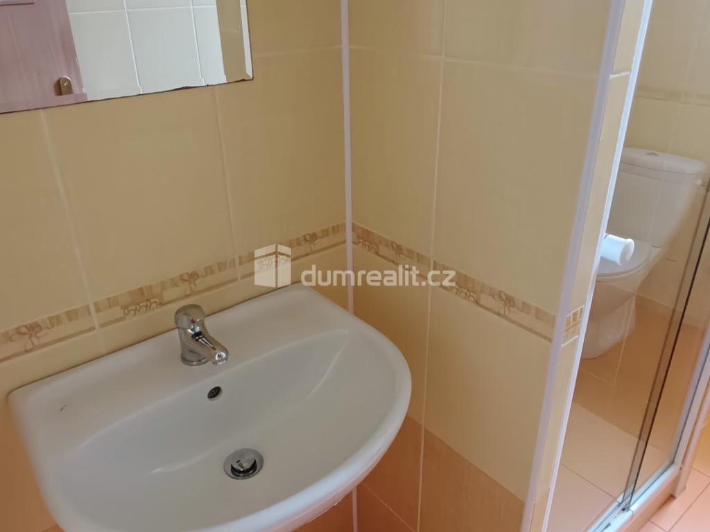 Pronájem bytu 1+1 44 m² – další