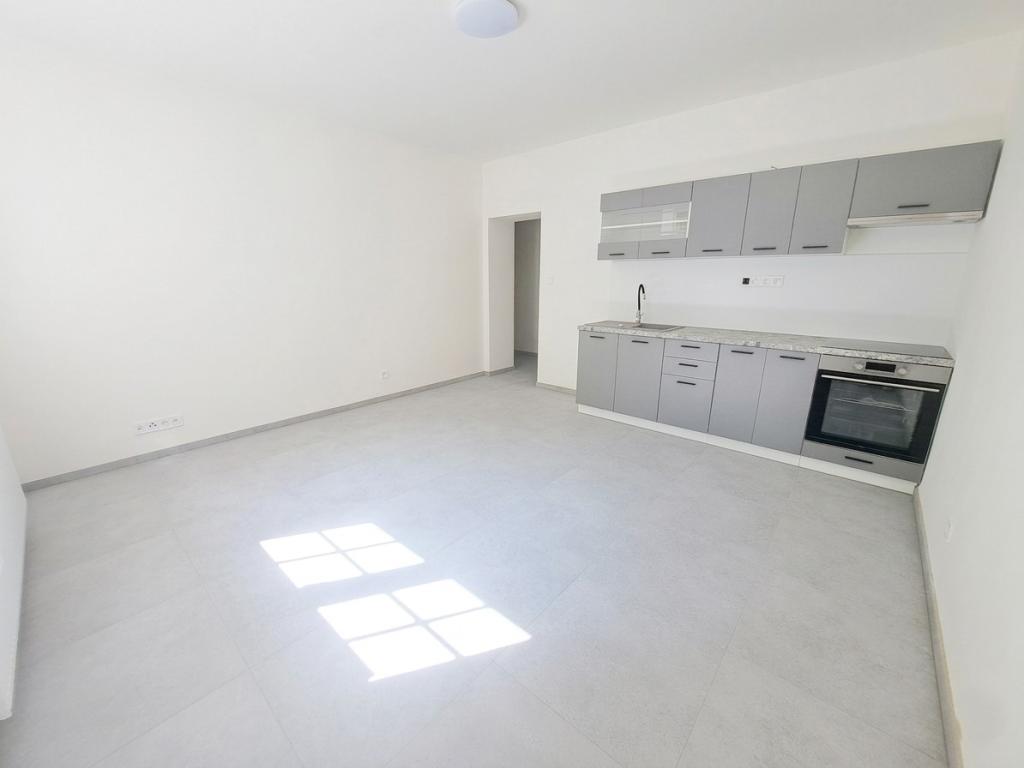 Pronájem bytu 1+1 45 m2
