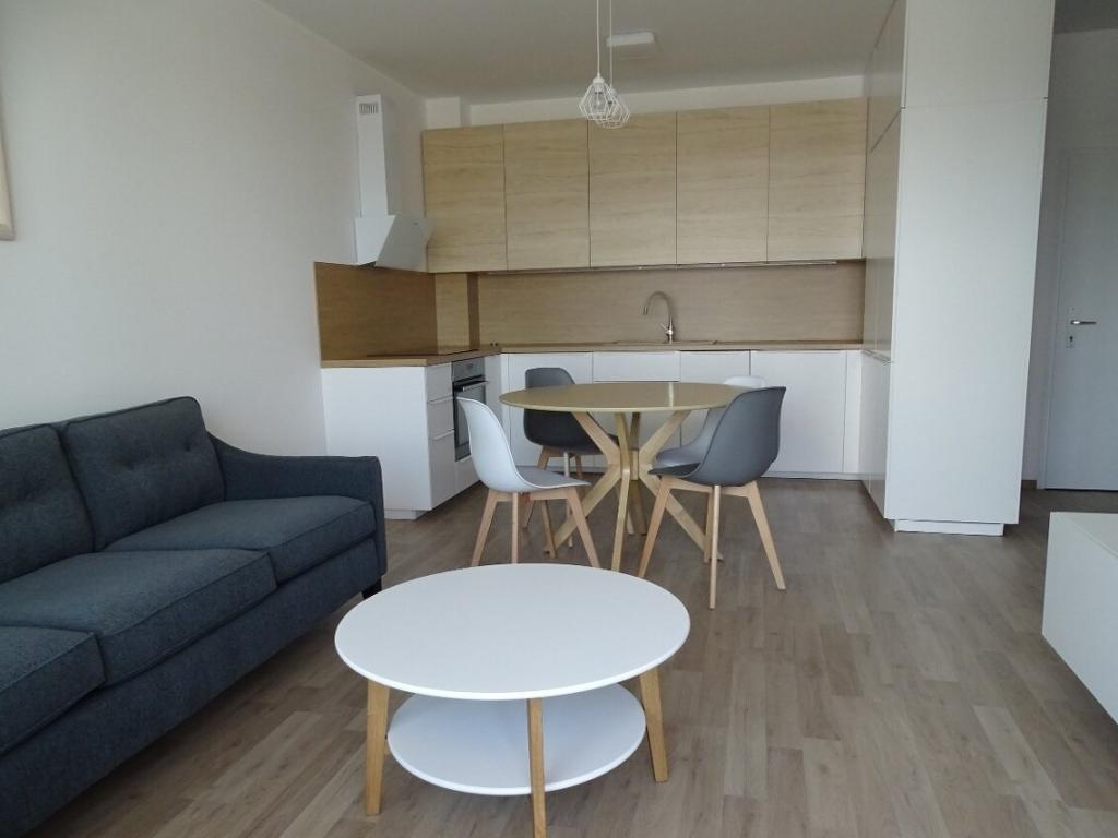 Pronájem bytu 1+1 48 m2