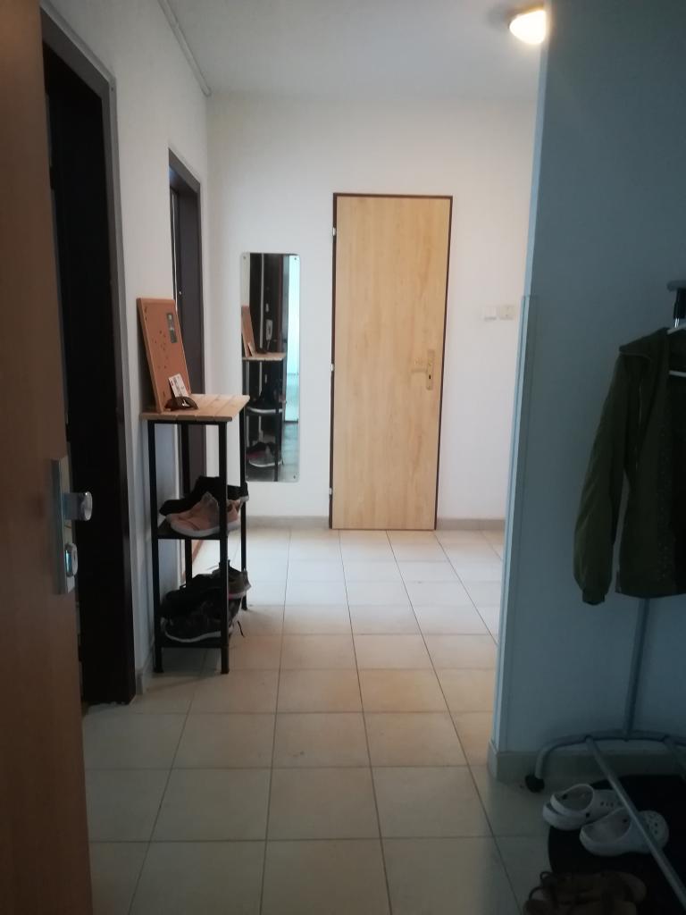 Spolubydleni bytu celý pokoj 80 m2