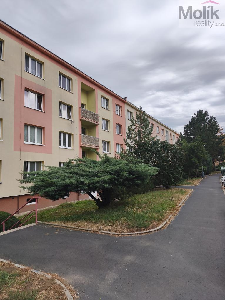 Prodej bytu 1+1 36 m2, Jirkov – náhled fotky 4