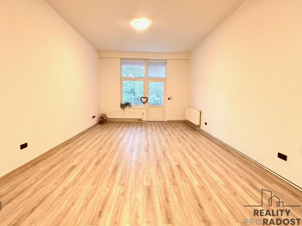 Pronájem bytu 1+kk 45 m² - Widok 2