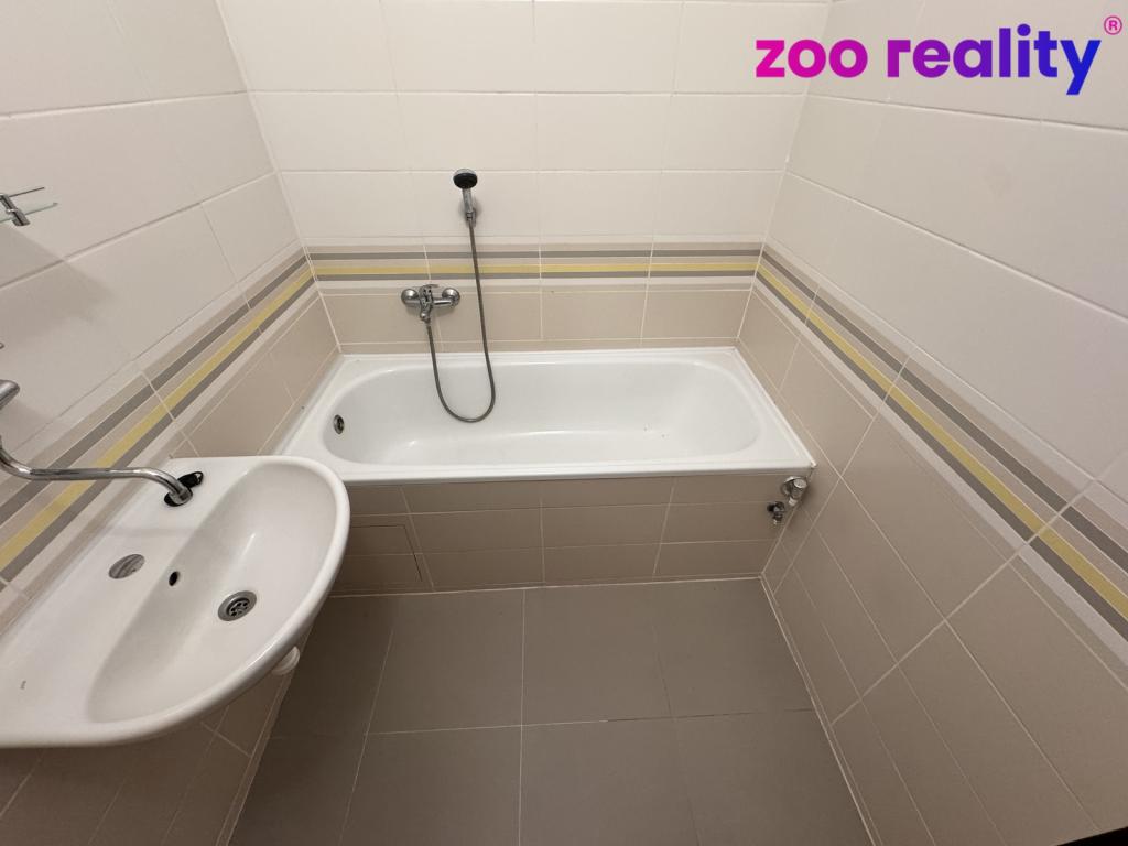 Pronájem bytu 1+1 40 m2