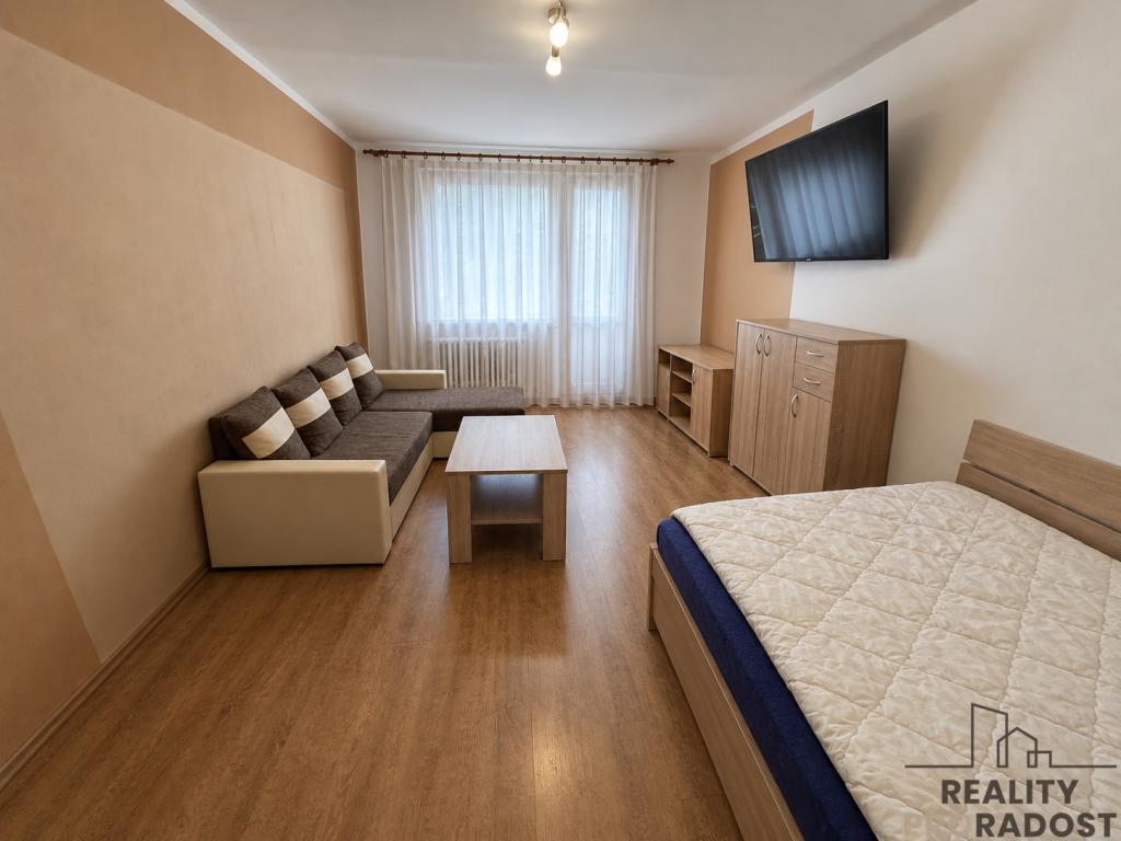 Pronájem bytu 1+1 39 m2