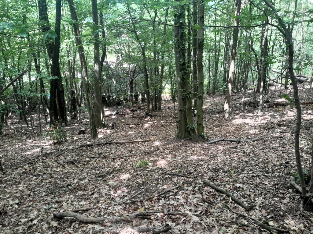 Prodej domu 56 m2, Všenory – náhled fotky 25