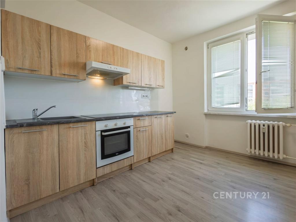 Pronájem bytu 1+1 40 m2