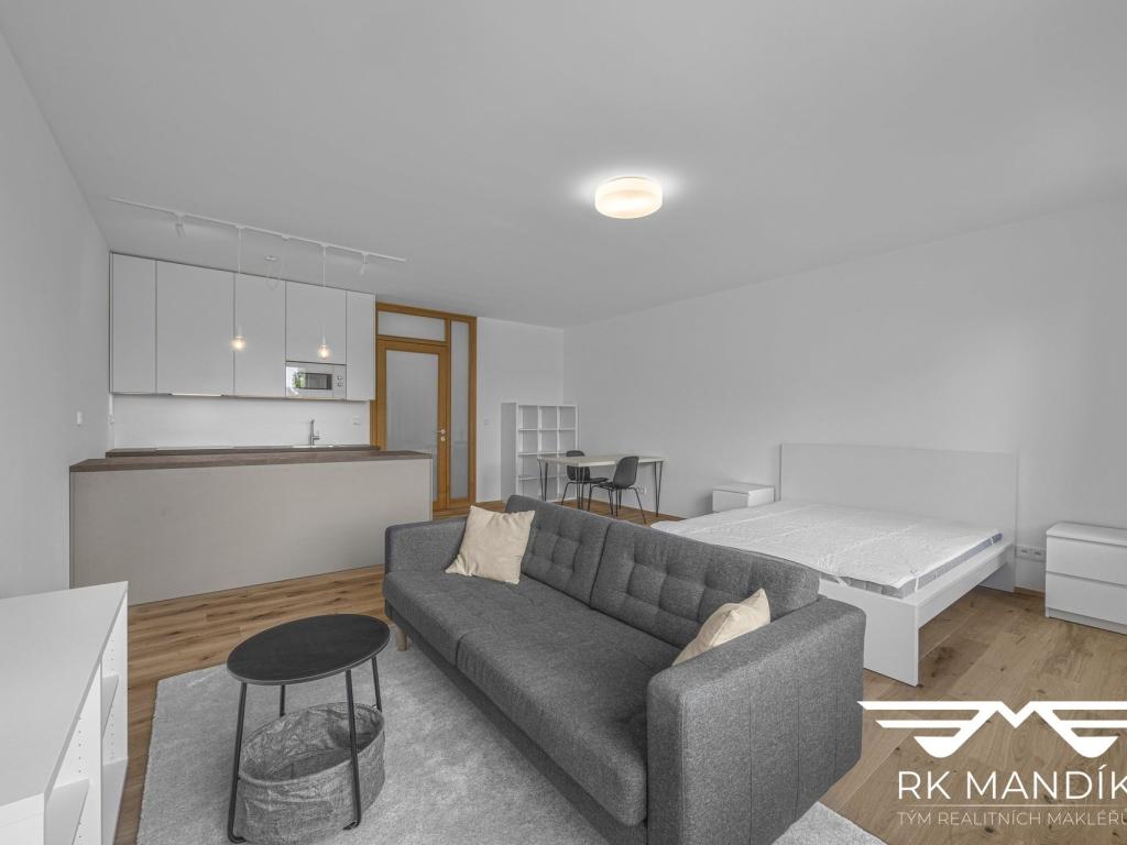 Pronájem bytu 1+kk 45 m² – další