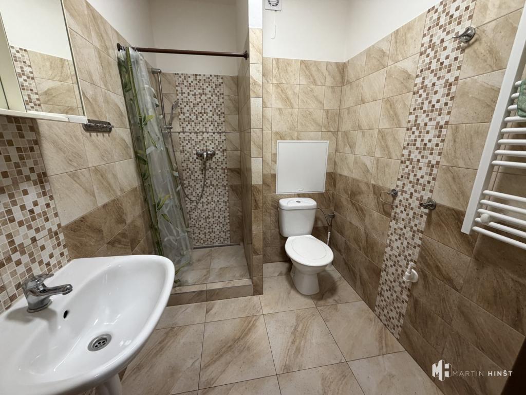 Pronájem bytu 1+kk 36 m2
