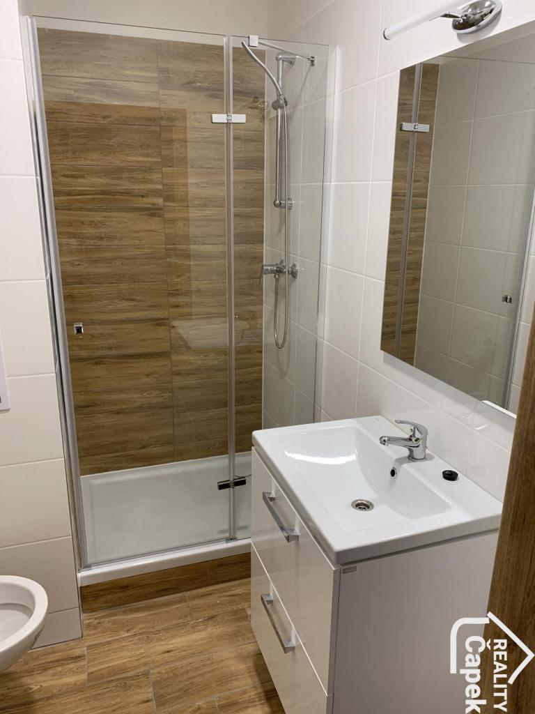 Pronájem bytu 1+1 31 m2