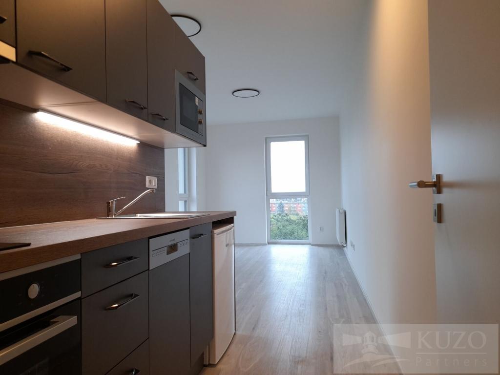 Pronájem bytu 1+kk 34 m2