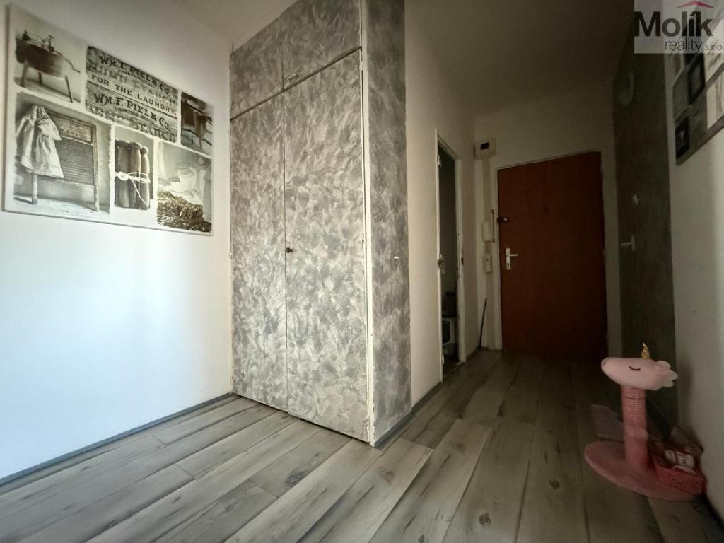 Pronájem bytu 2+1 65 m2, Bílina – náhled fotky 10