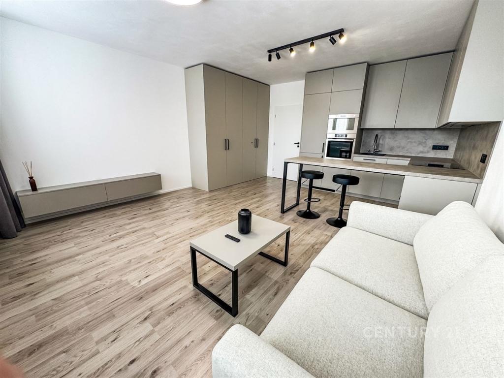 Pronájem bytu 1+kk 36 m2