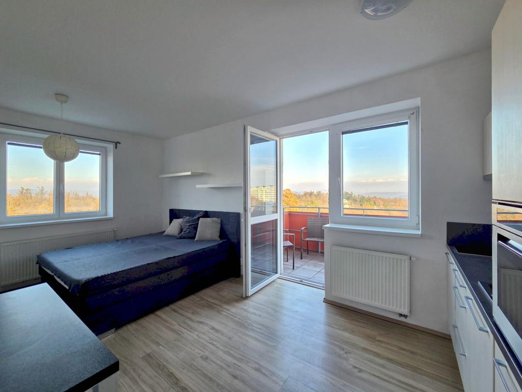 Pronájem bytu 1+kk 38 m2