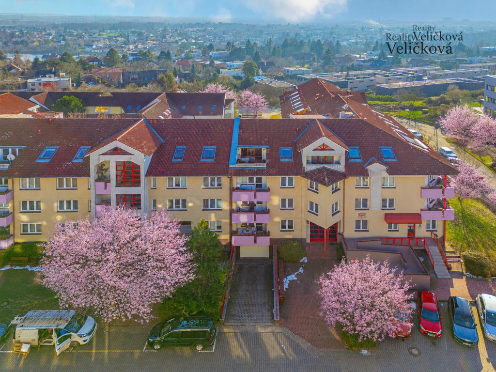 Prodej bytu 3+1 117 m2