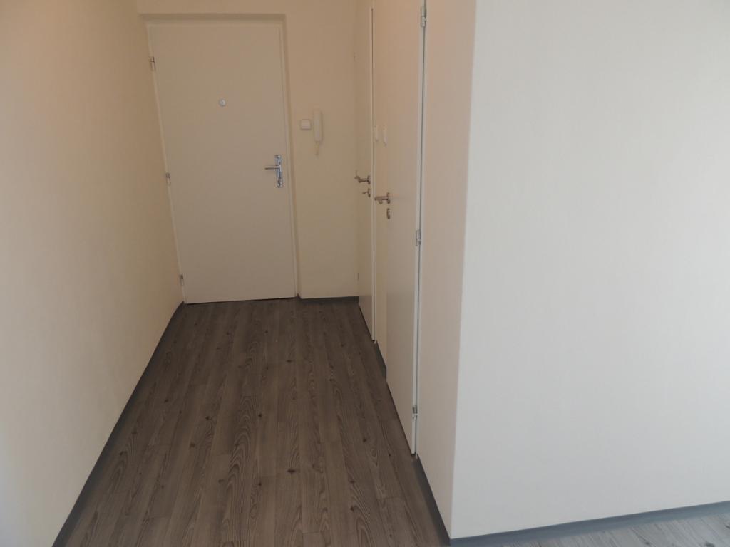 Pronájem bytu 1+1 37 m2