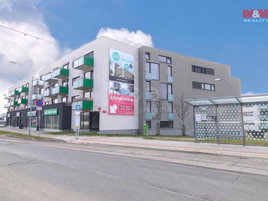 Pronajem bytu 1+kk 45 m2