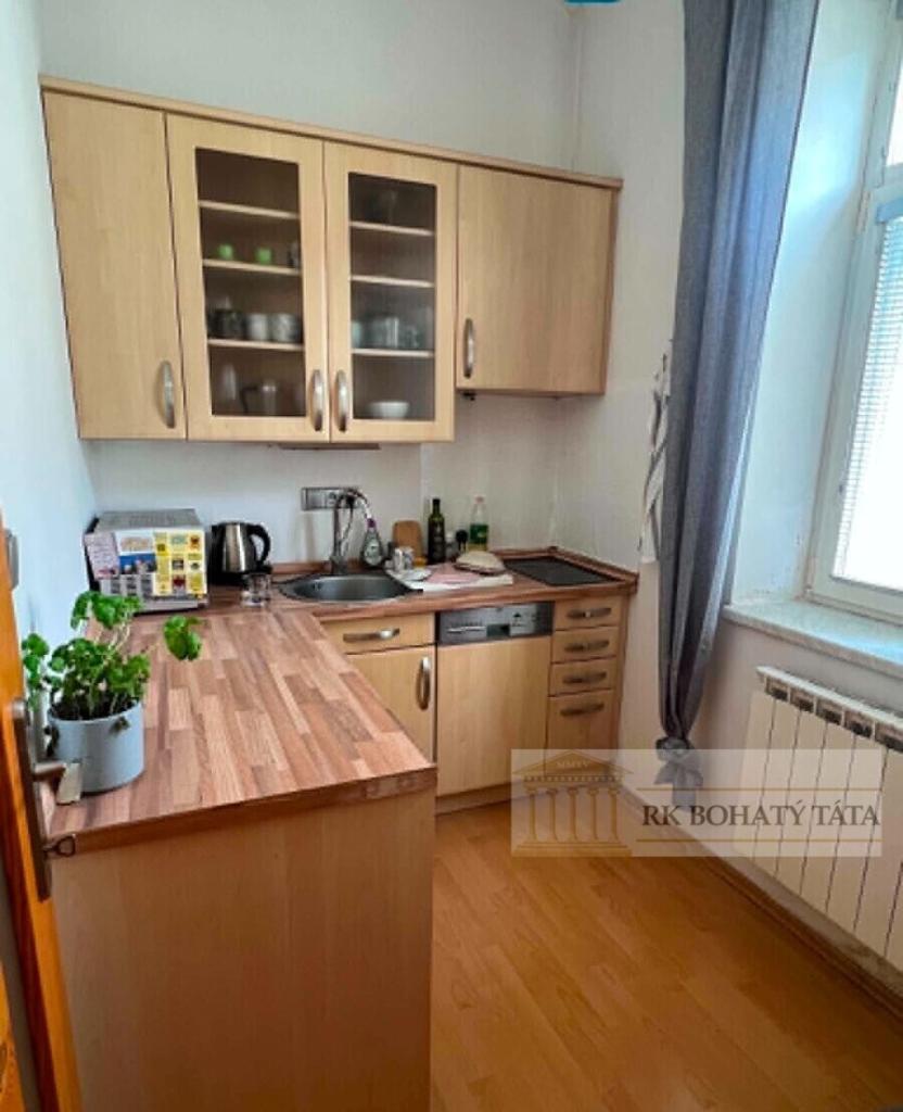 Pronájem bytu 1+1 33 m2
