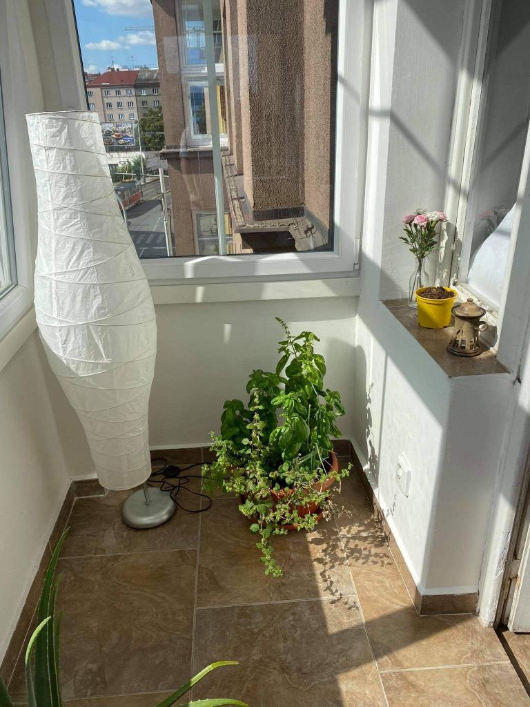 Pronajem bytu garsonka 35 m2