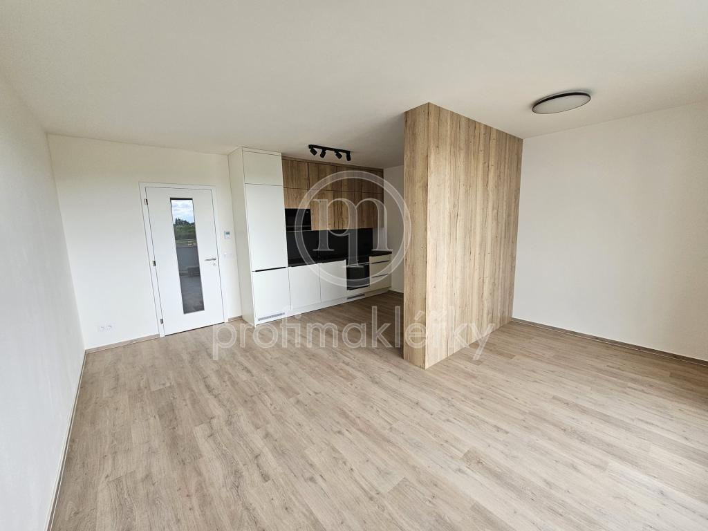 Pronájem bytu 1+kk 37 m2
