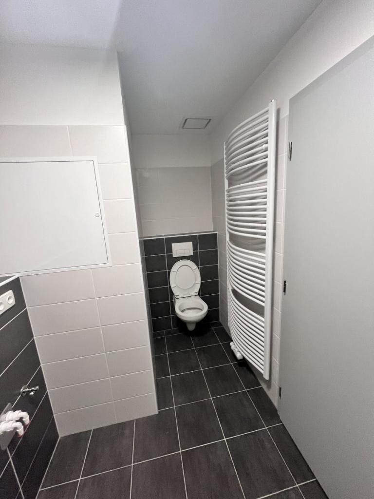 Pronájem bytu 1+kk 43 m2