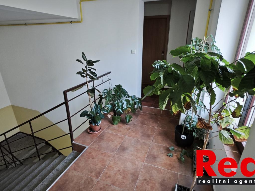 Pronájem bytu 1+kk 30 m2, Brno – náhled fotky 8