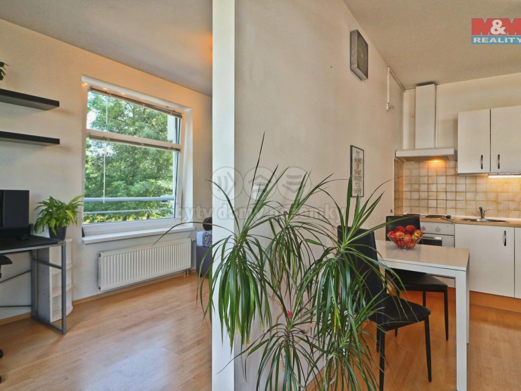 Pronajem bytu 2+kk 45 m2