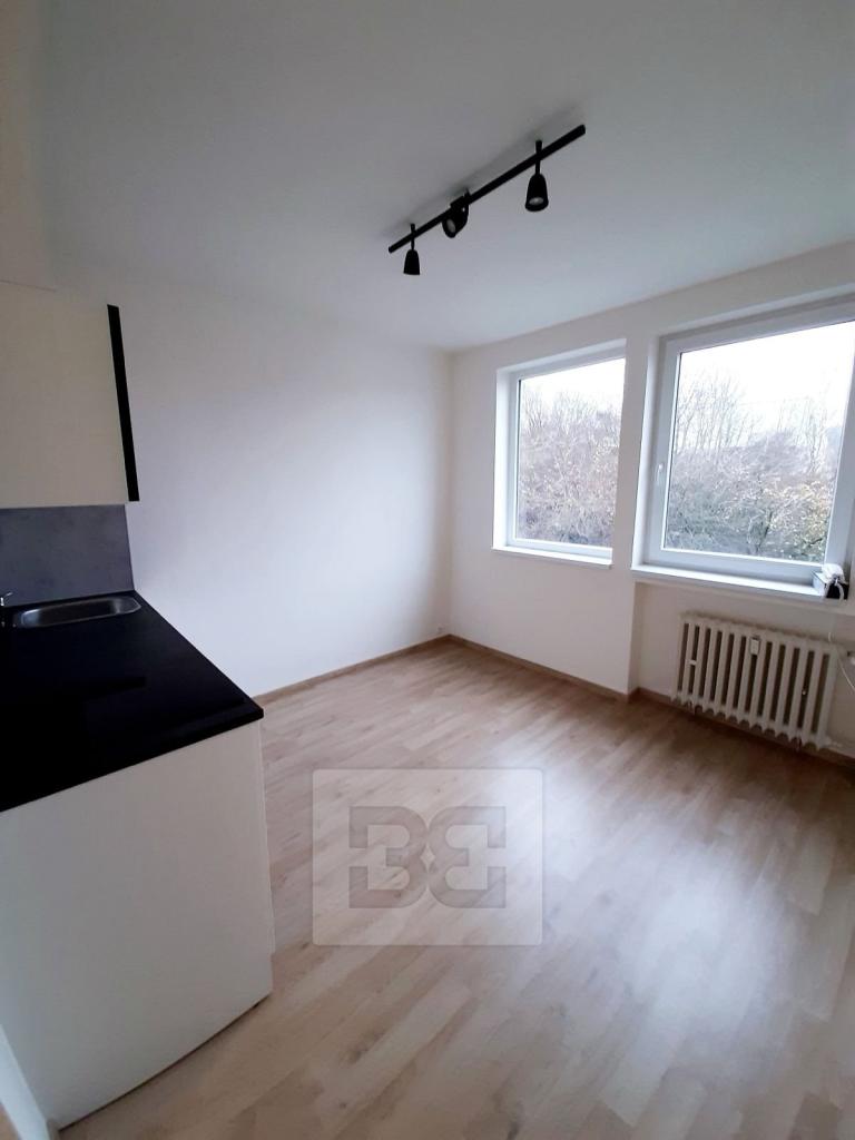 Pronájem bytu 1+kk 17 m2