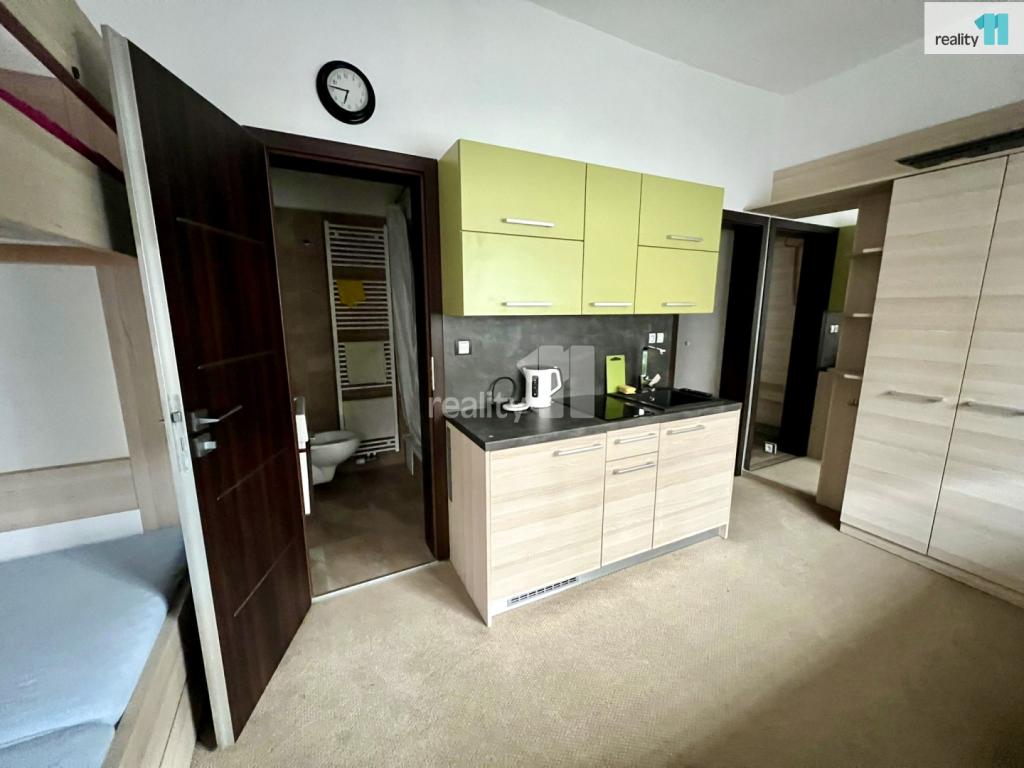 Pronájem bytu 1+kk 30 m2