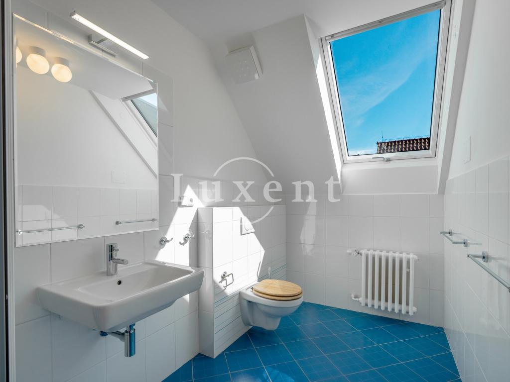 Pronájem domu 417 m2, Praha – náhled fotky 21