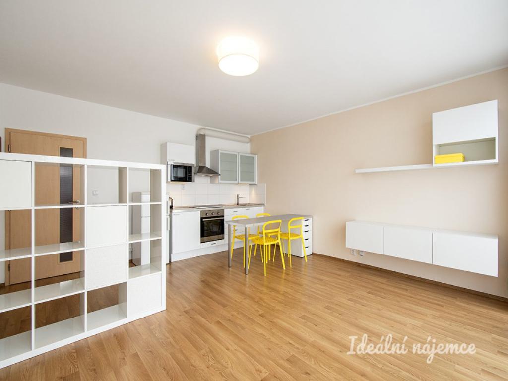 Pronájem bytu 1+kk 43 m2