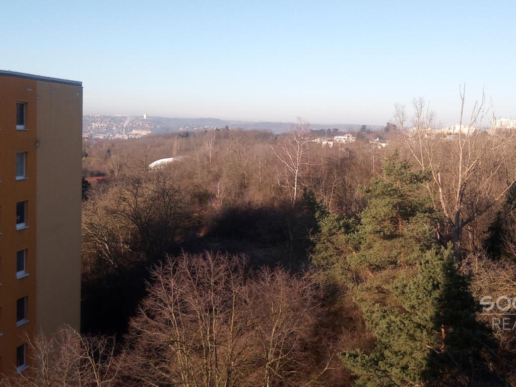 Pronájem bytu 1+kk 25 m2