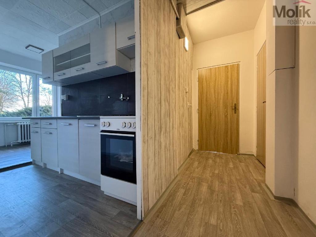 Pronájem bytu 3+1 71 m2